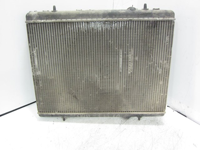 9646528480 Peugeot/Citroen