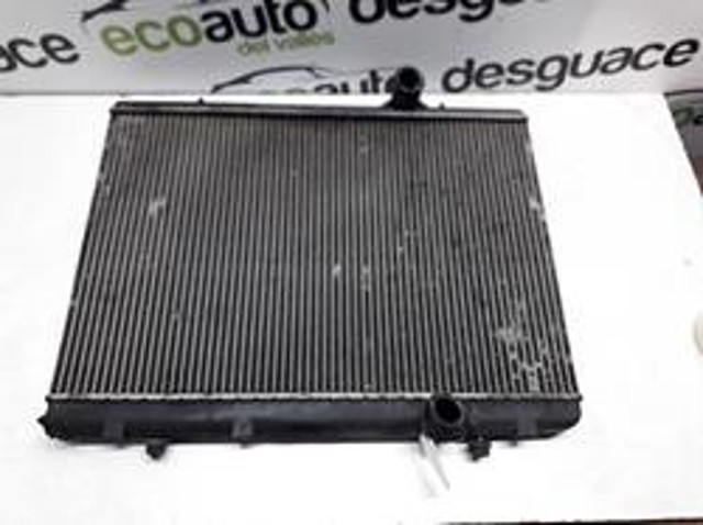 9646528480 Peugeot/Citroen