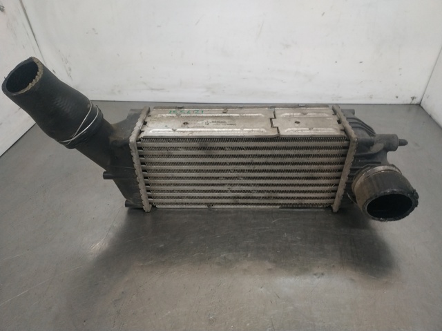 9646694680 Peugeot/Citroen
