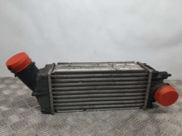 9646694680 Peugeot/Citroen