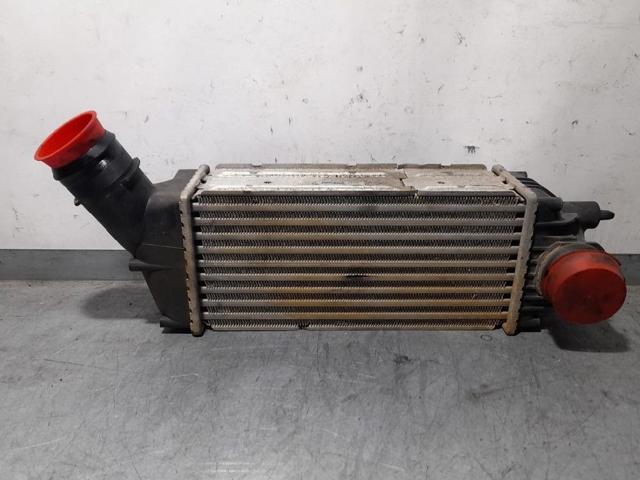 9646694680 Peugeot/Citroen