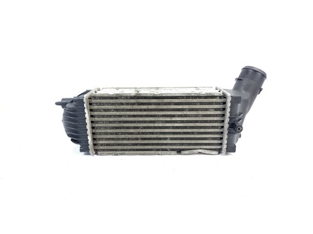 9646694680 Peugeot/Citroen