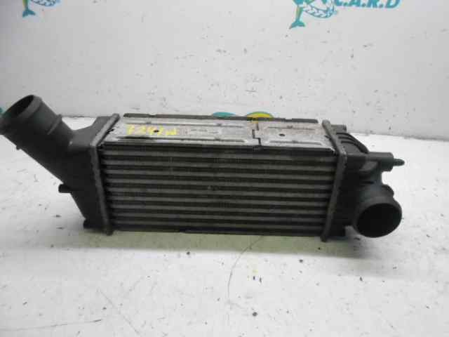 9646694680 Peugeot/Citroen