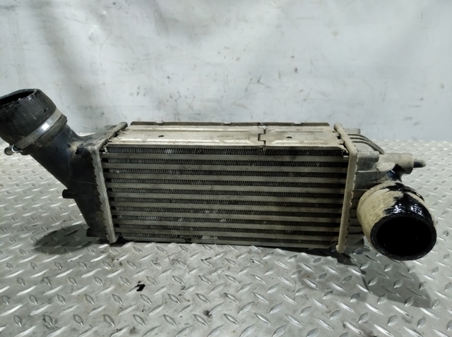 9646694680 Peugeot/Citroen