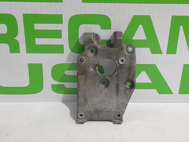 9646719580 Peugeot/Citroen