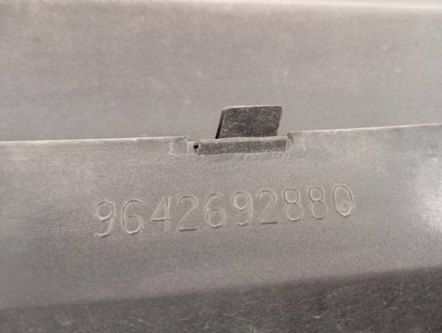 9647156577 Peugeot/Citroen