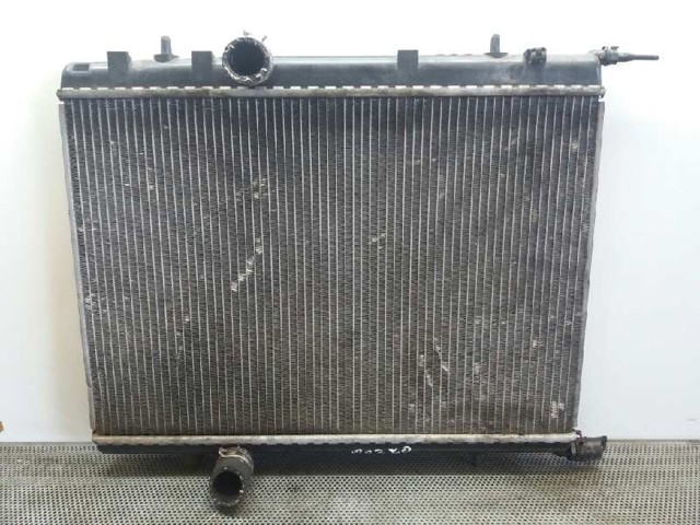 9647421380 Peugeot/Citroen