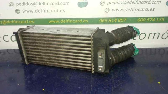 9648551880 Peugeot/Citroen