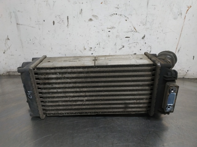 9648551880 Peugeot/Citroen