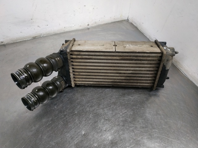 9648551880 Peugeot/Citroen