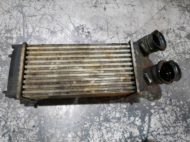 9648551880 Peugeot/Citroen