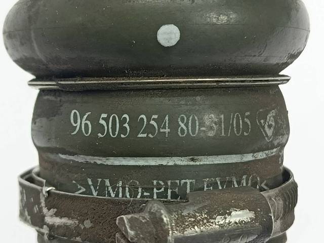 9650325480 Peugeot/Citroen