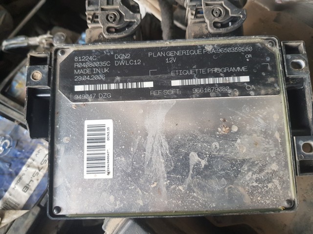 9650359580 Peugeot/Citroen