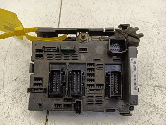 9650663980 Peugeot/Citroen
