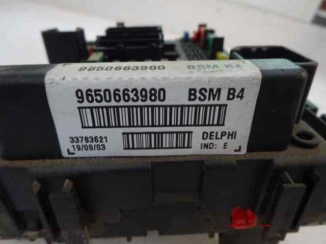 9650663980 Peugeot/Citroen