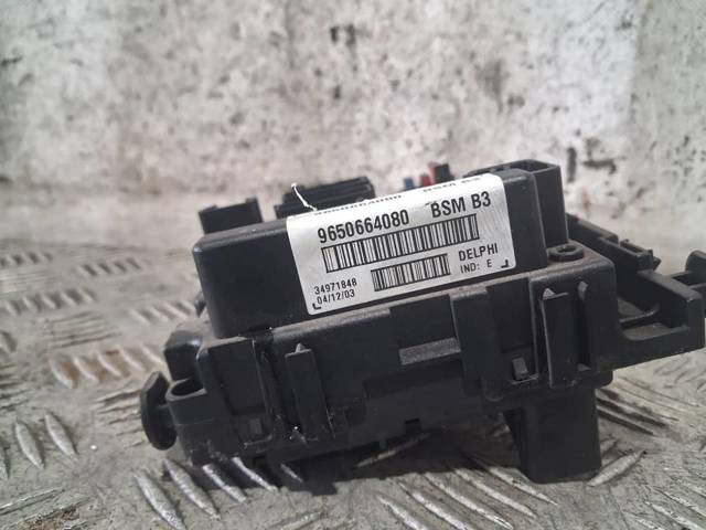 9650664080 Peugeot/Citroen