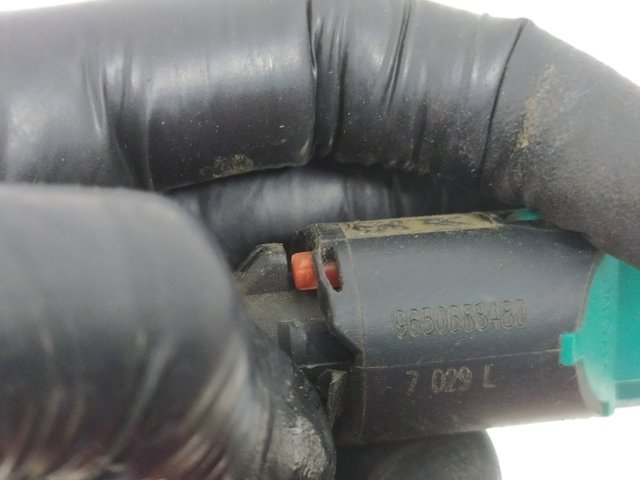9650688480 Peugeot/Citroen