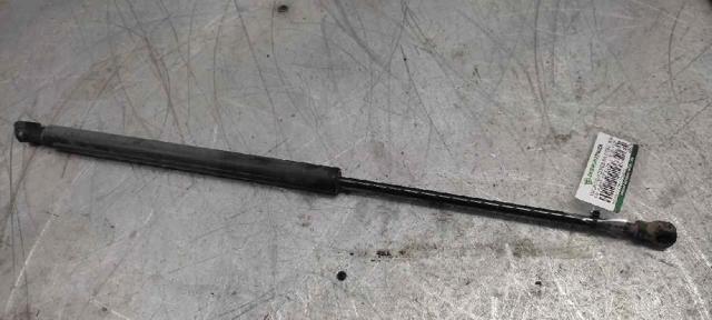 9650780480 Peugeot/Citroen