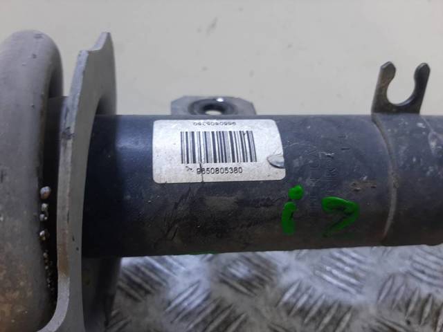9650805380 Peugeot/Citroen