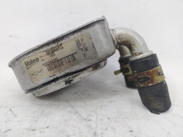 9650863480 Peugeot/Citroen