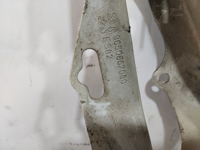9650867080 Peugeot/Citroen