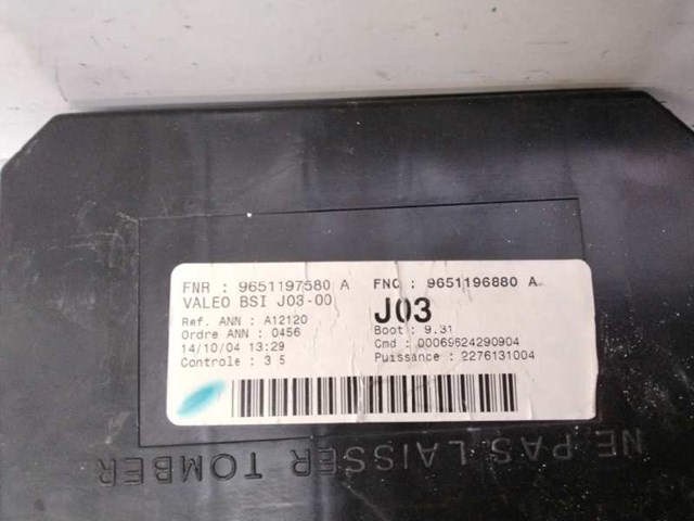 9651196880 Peugeot/Citroen