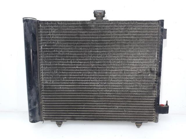 9651825580 Peugeot/Citroen