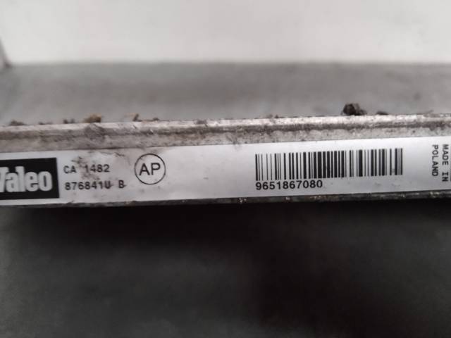 9651867080 Peugeot/Citroen