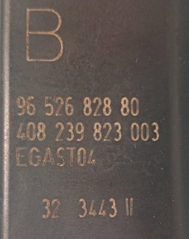 9652682880 Peugeot/Citroen