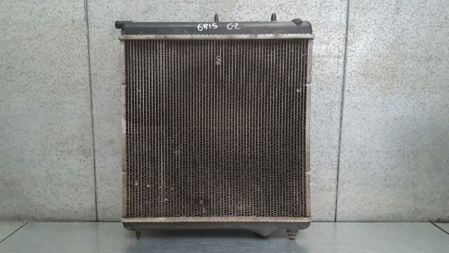 9653026580 Peugeot/Citroen