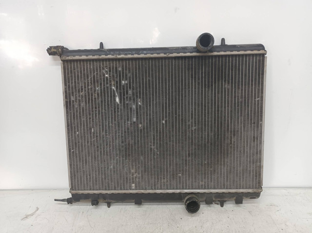 9653692180 Peugeot/Citroen