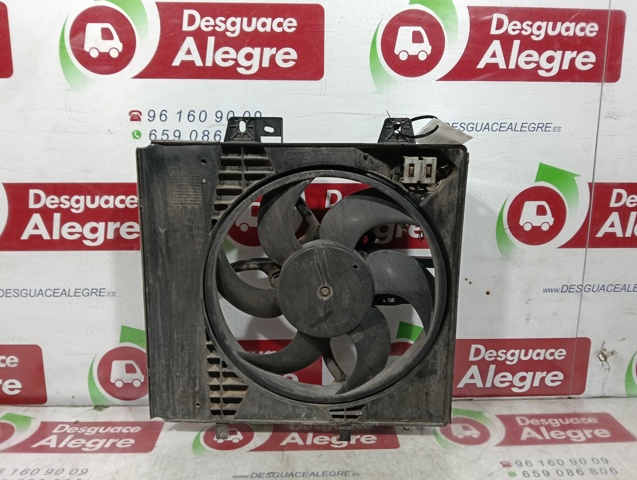 965380408001 Peugeot/Citroen