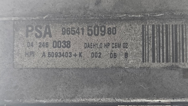 9654150980 Peugeot/Citroen