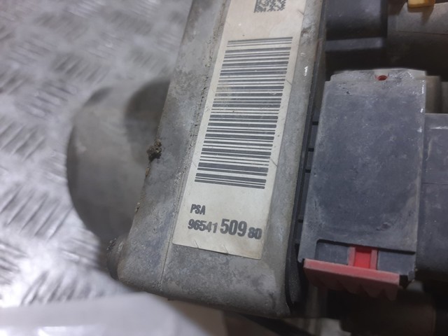 9654150980 Peugeot/Citroen