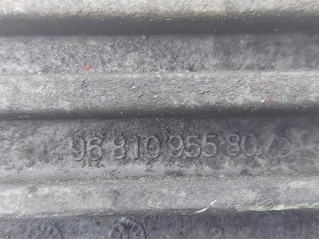 9654166080 Peugeot/Citroen