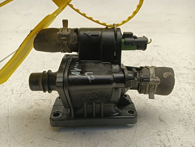 9654393880 Peugeot/Citroen