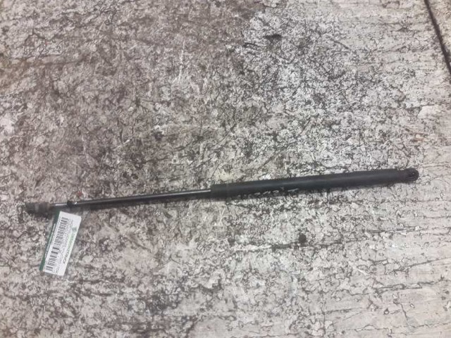 Amortecedor de tampa de porta-malas (de 3ª/5ª porta traseira) 96548931 GM