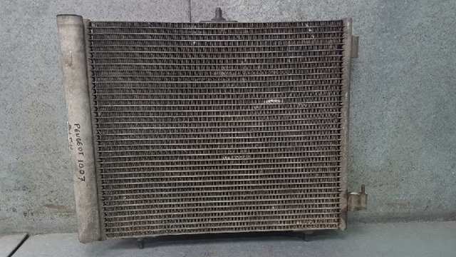 9655009380 Peugeot/Citroen