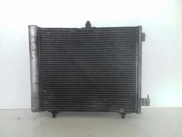 9655009380 Peugeot/Citroen