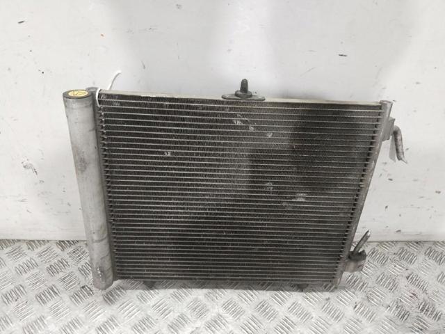 9655009380 Peugeot/Citroen