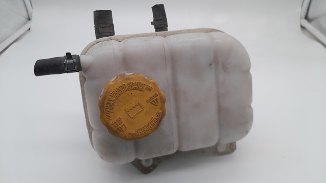Tanque de expansão do sistema de esfriamento 96553255 GM