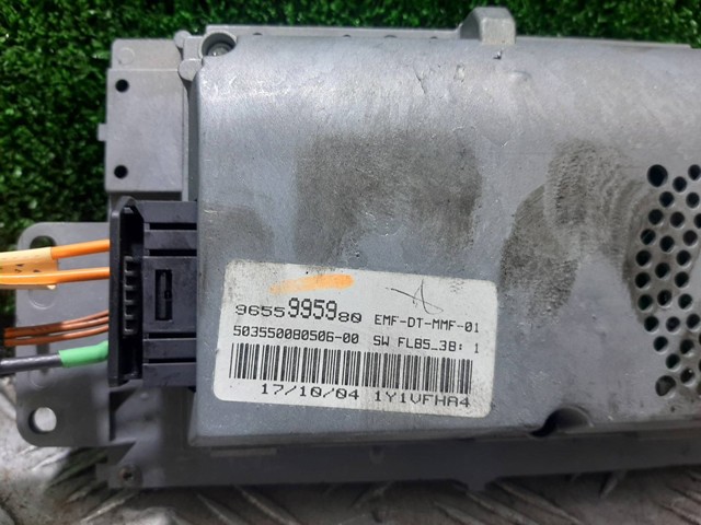 9655995980 Peugeot/Citroen