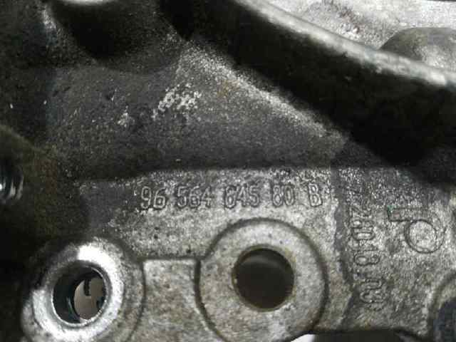 9656484580 Peugeot/Citroen