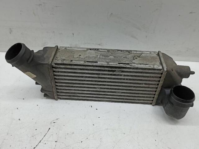 9656525880 Peugeot/Citroen