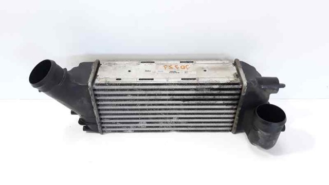 9656525880 Peugeot/Citroen