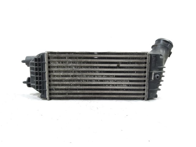 9656525880 Peugeot/Citroen