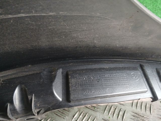 Pára-lama dianteiro esquerdo 9656738580 PEUGEOT