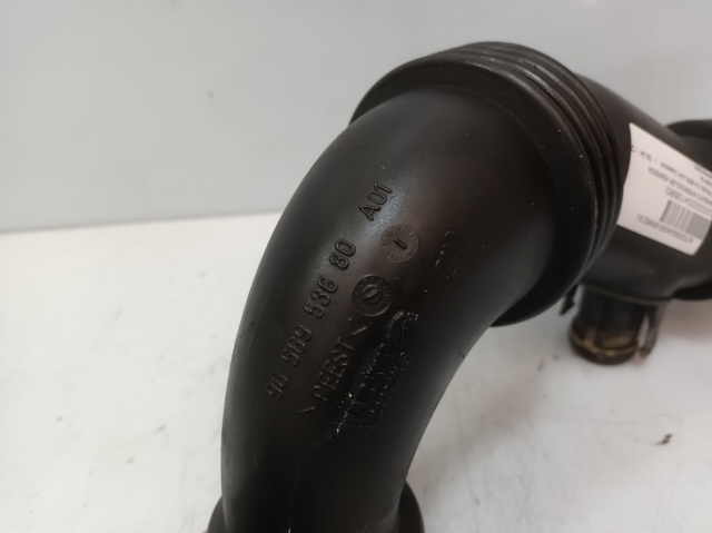 9656953680 Peugeot/Citroen