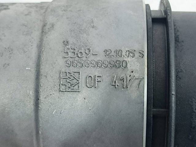 9656969980 Peugeot/Citroen