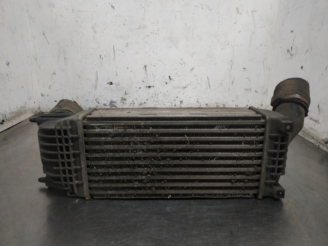 9657073480 Peugeot/Citroen